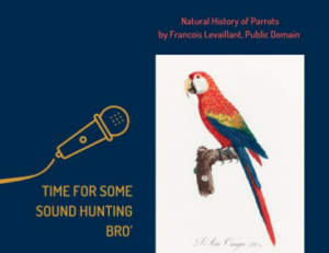 Copertina della presentazione - titolo e pappagallo