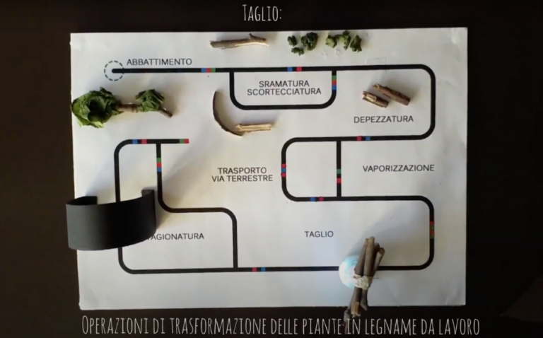 Ciclo lavorazione legno | Attività didattica Riconnessioni