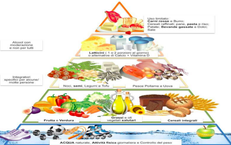 I principi nutritivi e la piramide alimentare | Attività didattica Riconnessioni